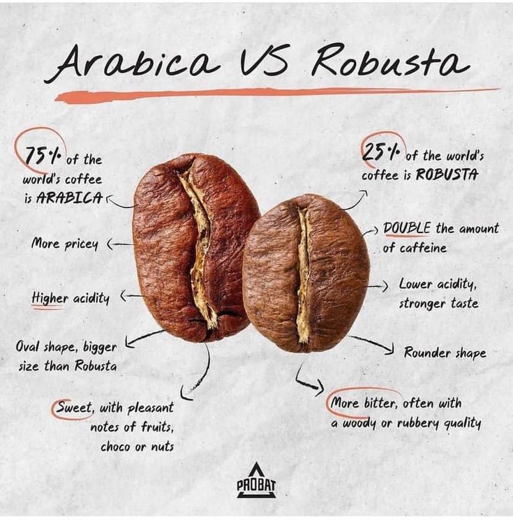 two coffee beans on top of each other with words describing the differences between arabic and robusta