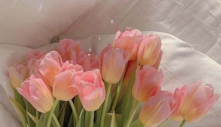 pink tulips are in a vase on a white sheet with sunlight coming through the window