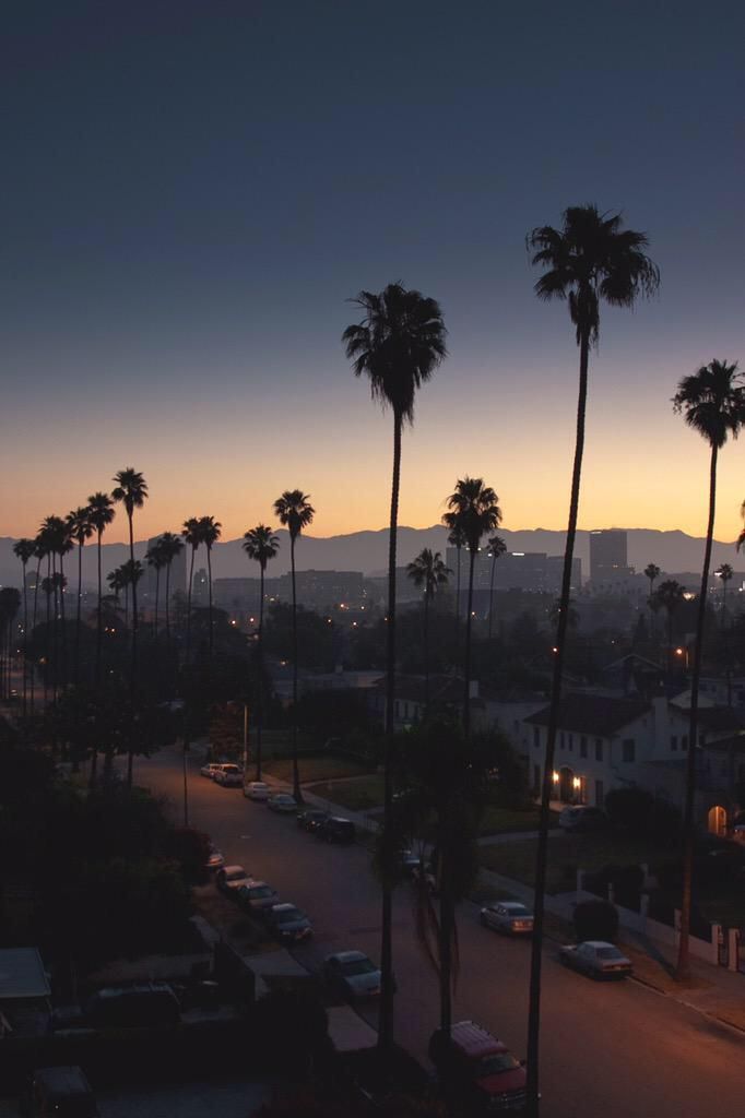 palm trees line the street in front of a city at dusk with mountains in the background