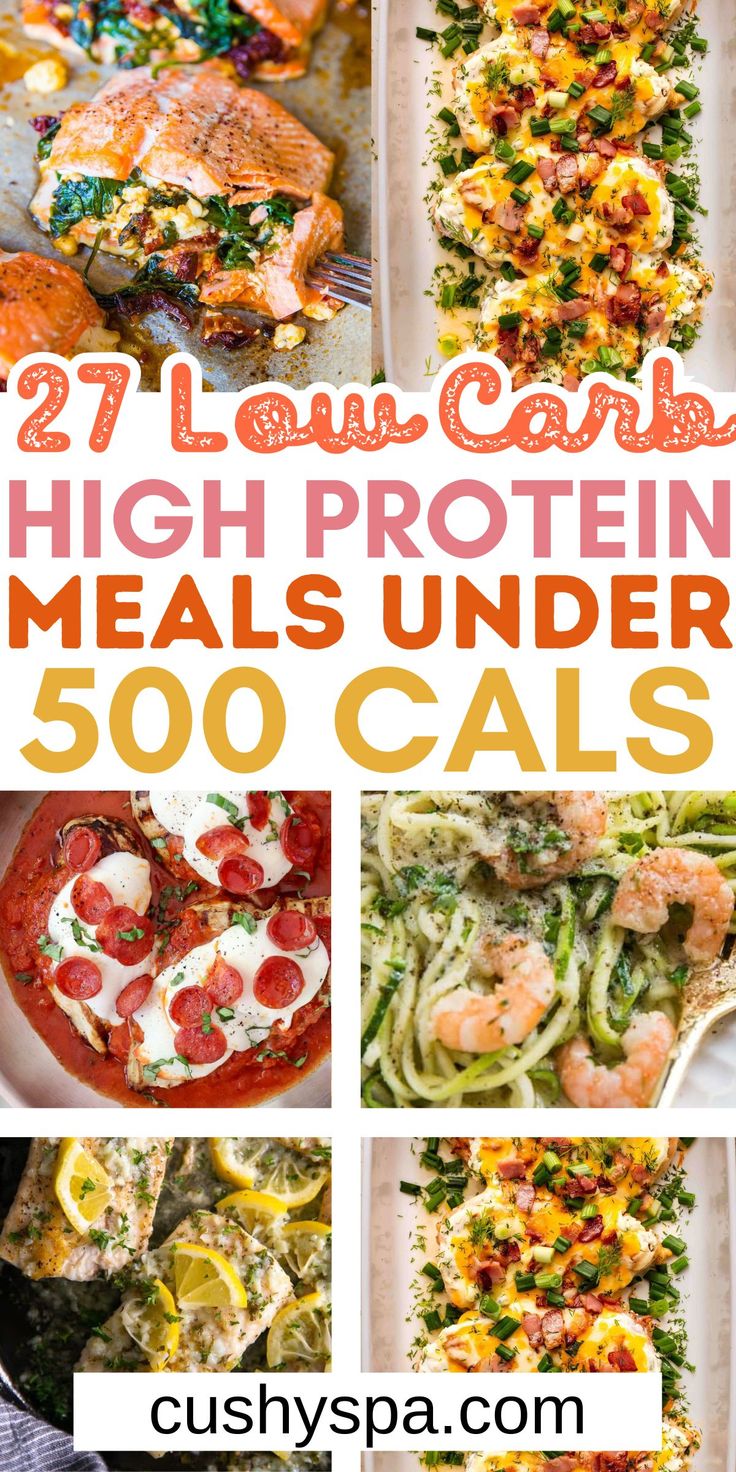 low carb high protein meals under 500 cals