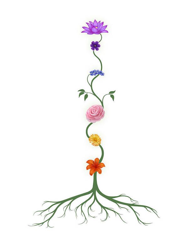 a drawing of a tree with flowers and roots