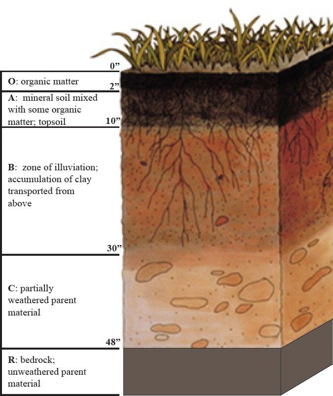 the layers of soil are labeled in this diagram