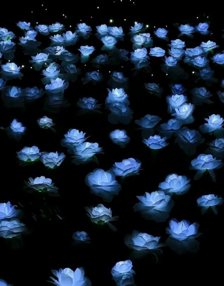 blue flowers are glowing in the dark