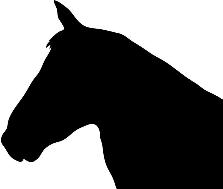 the silhouette of a horse's head is shown in black against a white background