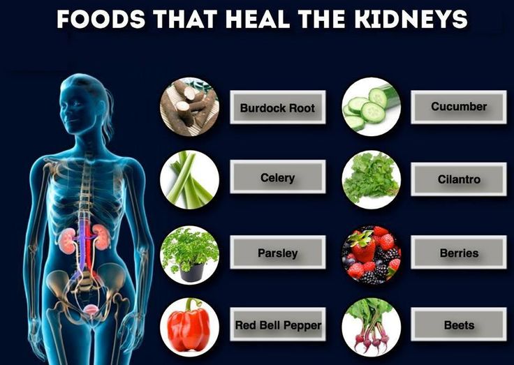 Having health issues with your kidneys? These foods can help heal your kidneys. Kidney Repair, Kidney Healing, Foods That Heal, Foods Good For Kidneys, Ckd Diet, Kidney Detox Cleanse, Healthy Kidney Diet, Renal Diet Recipes, Kidney Detox