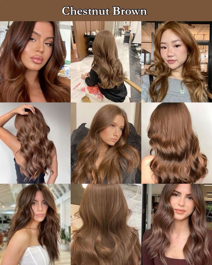 Chestnut Brown Hair Inspiration Chestnut Hair Color Light, Types Of Brown Hair Dye, Different Types Of Brown Hair Color, Sepia Hair Color, Light Brown Chestnut Hair, Chestnut Brown Hair Pale Skin, Hair Colour Tan Skin, Type Of Brown Hair Shades, Chesnutt Brown Color