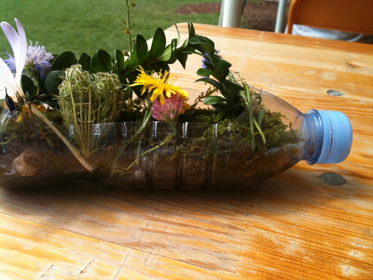 a bottle filled with plants and flowers sitting on top of a wooden table