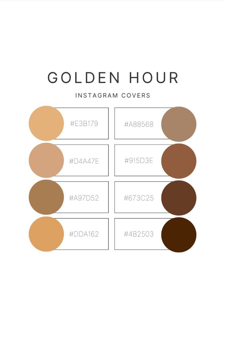 Color palette for Instagram cover; gold color palette; best color palette for golden hour; gold color palette for posting on social media--Instagram, Facebook, TikTok; with hex number codes Gold Color Hex, Color Palette Tutorial, Color Palette For Summer, Number Codes, Summer Golden Hour, Gold Color Palette, Flat Color Palette, Wedding Color Pallet, Hex Color Palette