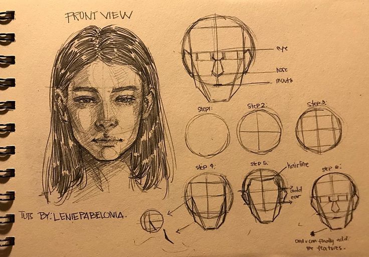 learn basic head proportion in 3 different angles/views using Loomis Method Face Proportions, Sketching Tips, Art Tools Drawing, Sketches Tutorial, Different Angles, Easy Drawings Sketches, Realistic Art, Hand Art Drawing, Anatomy Art