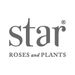 starrosesplants