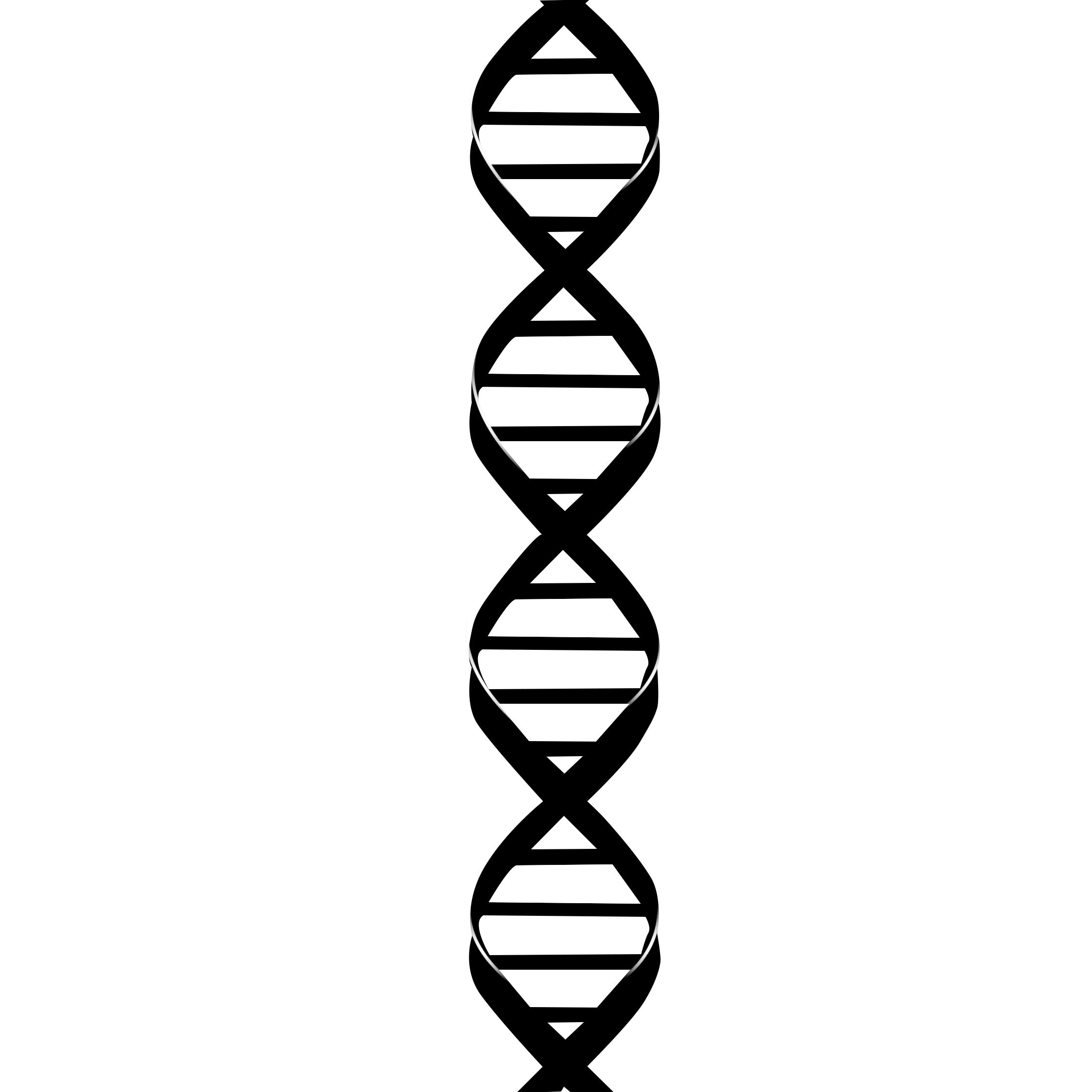 How To Draw A Gene - DRAW HJR