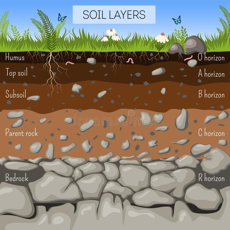 When and how to use humic acid fertilizer to improve soil – Artofit