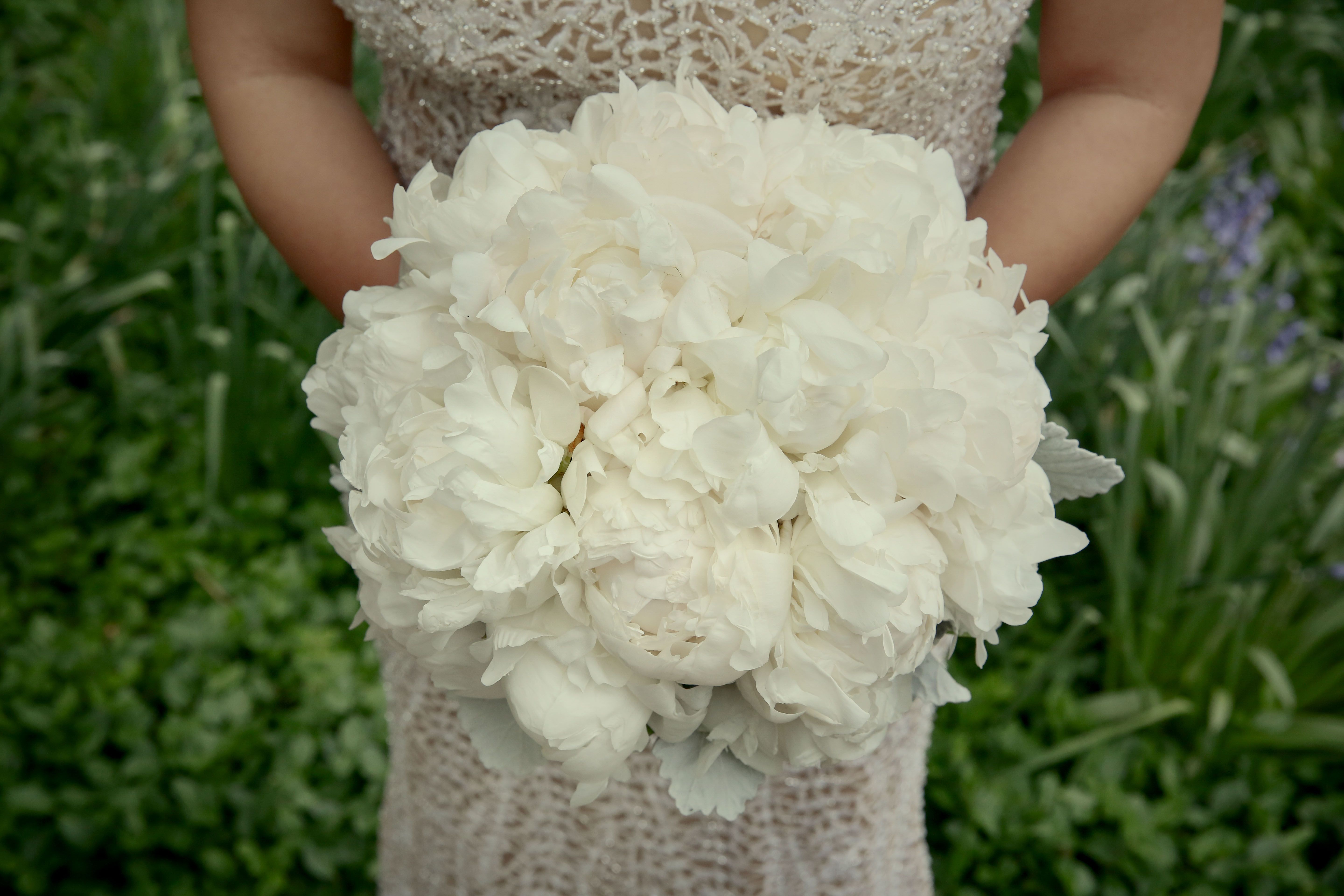 20+ Adler planetarium wedding cost ideas in 2021 