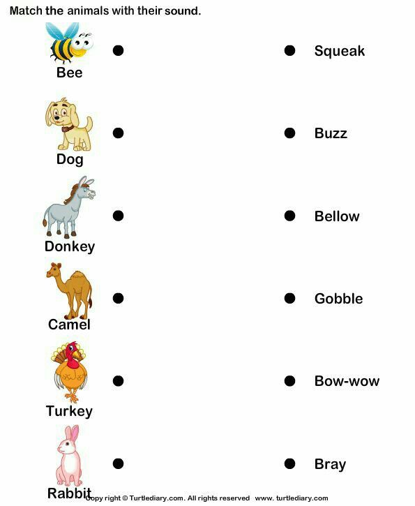 Pin by Sangita CHHETRI on EVS | Kindergarten worksheets, Animal sounds ...