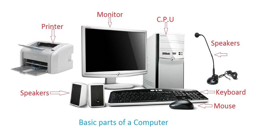 These parts of the Computer and some other devices are connected ...