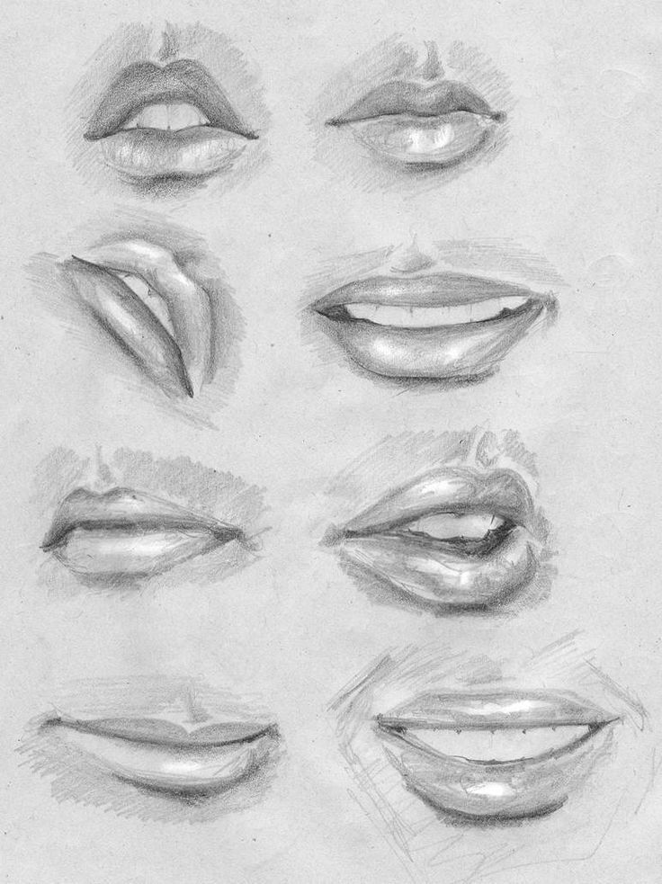 Lips sketch Nose drawing, Lips sketch, Anatomy art