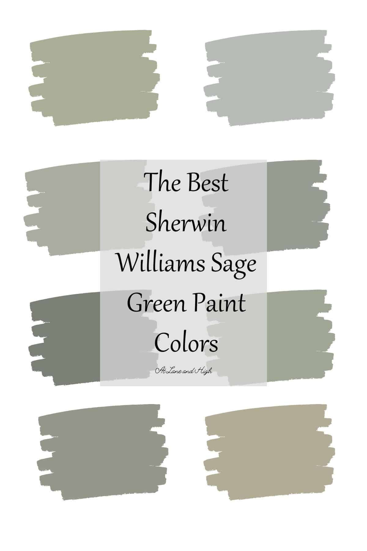 the best sherylin williams sage green paint colors for walls and floors ...