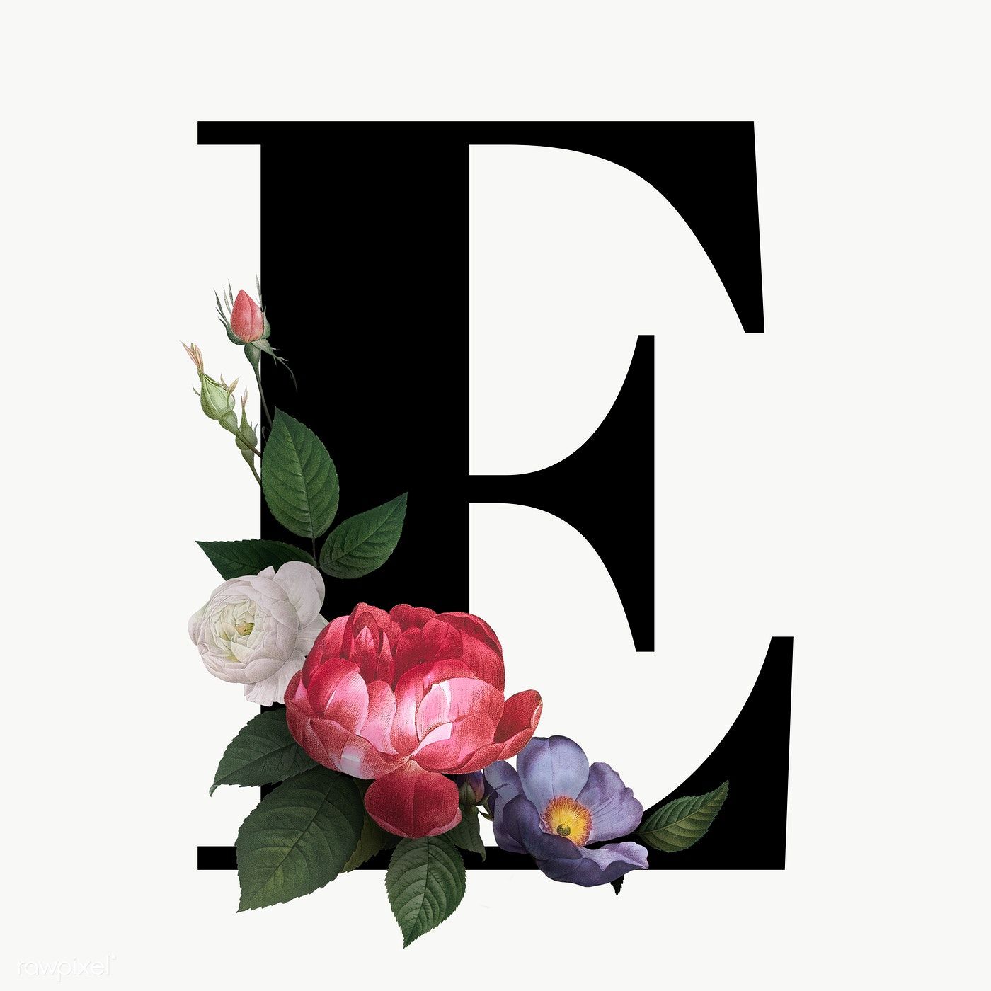 Classic and Elegant Floral Alphabet Font Letter E