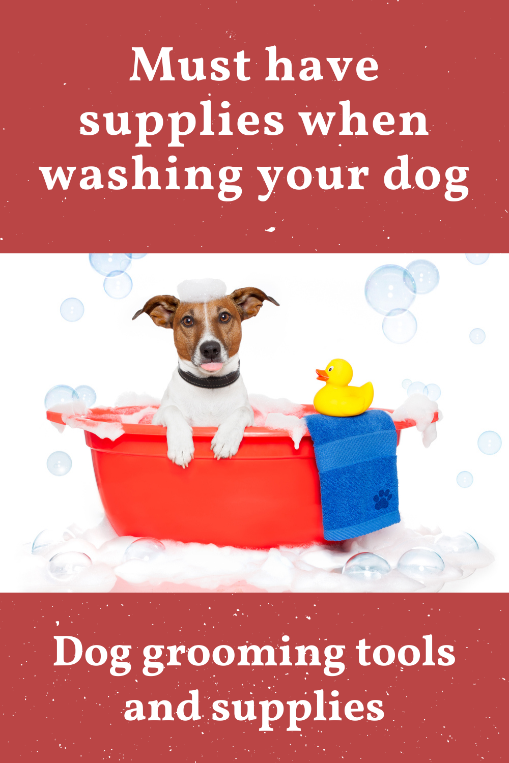 Must have supplies when washing your dog | Dog cleaning, Your dog, Dog ...