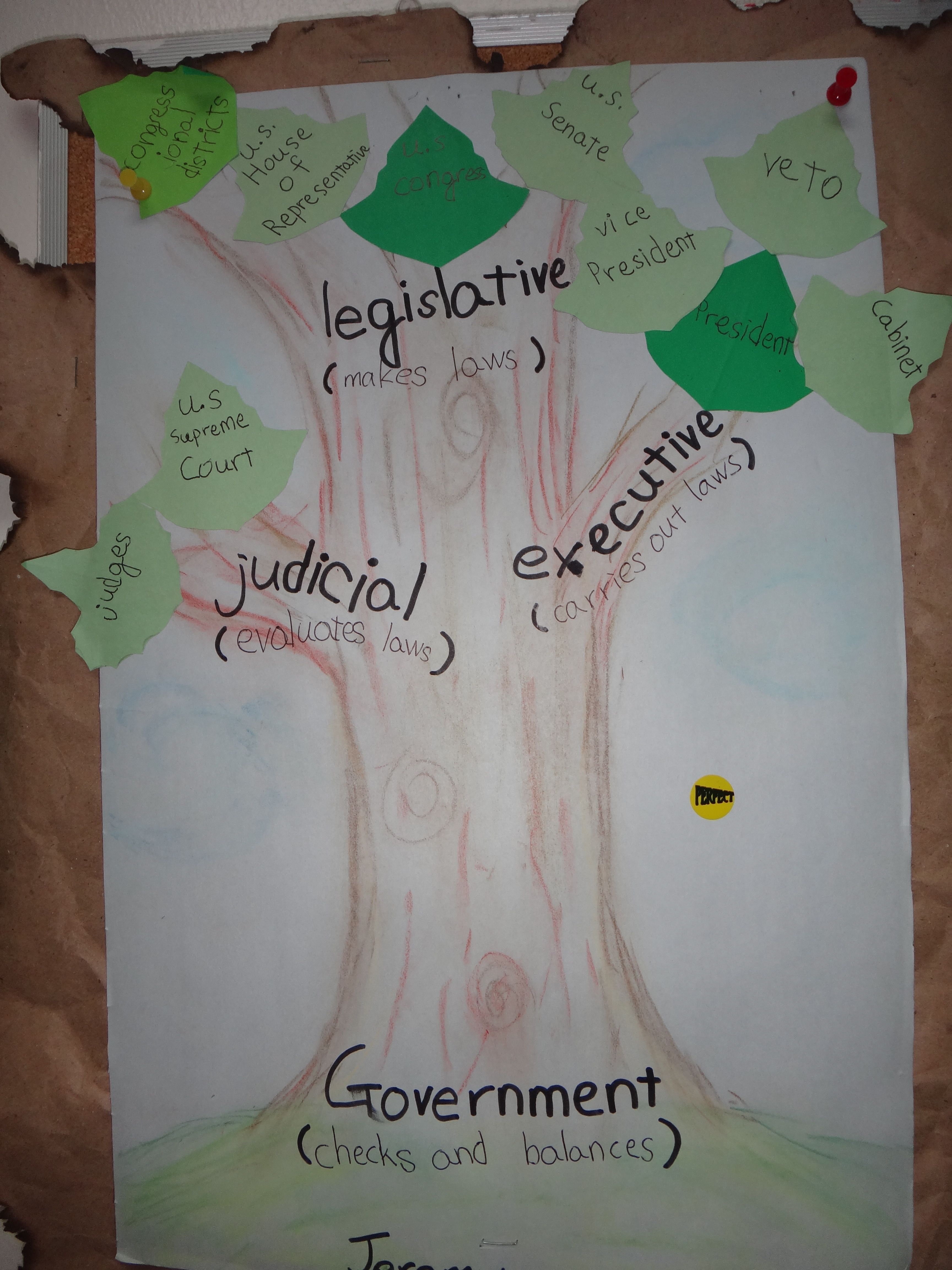 3 branches of government – Artofit