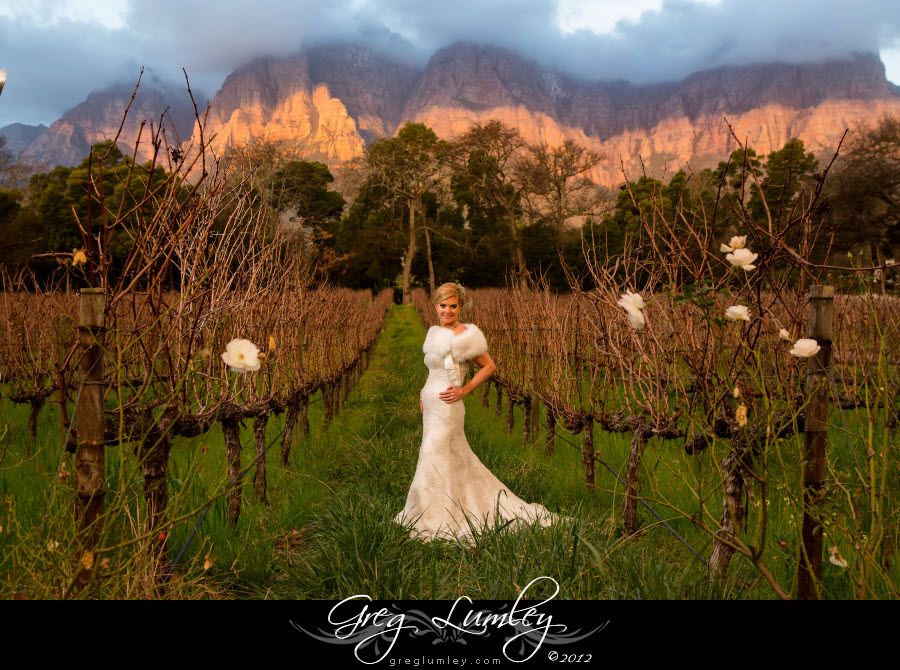 19+ Barn wedding venues paarl information