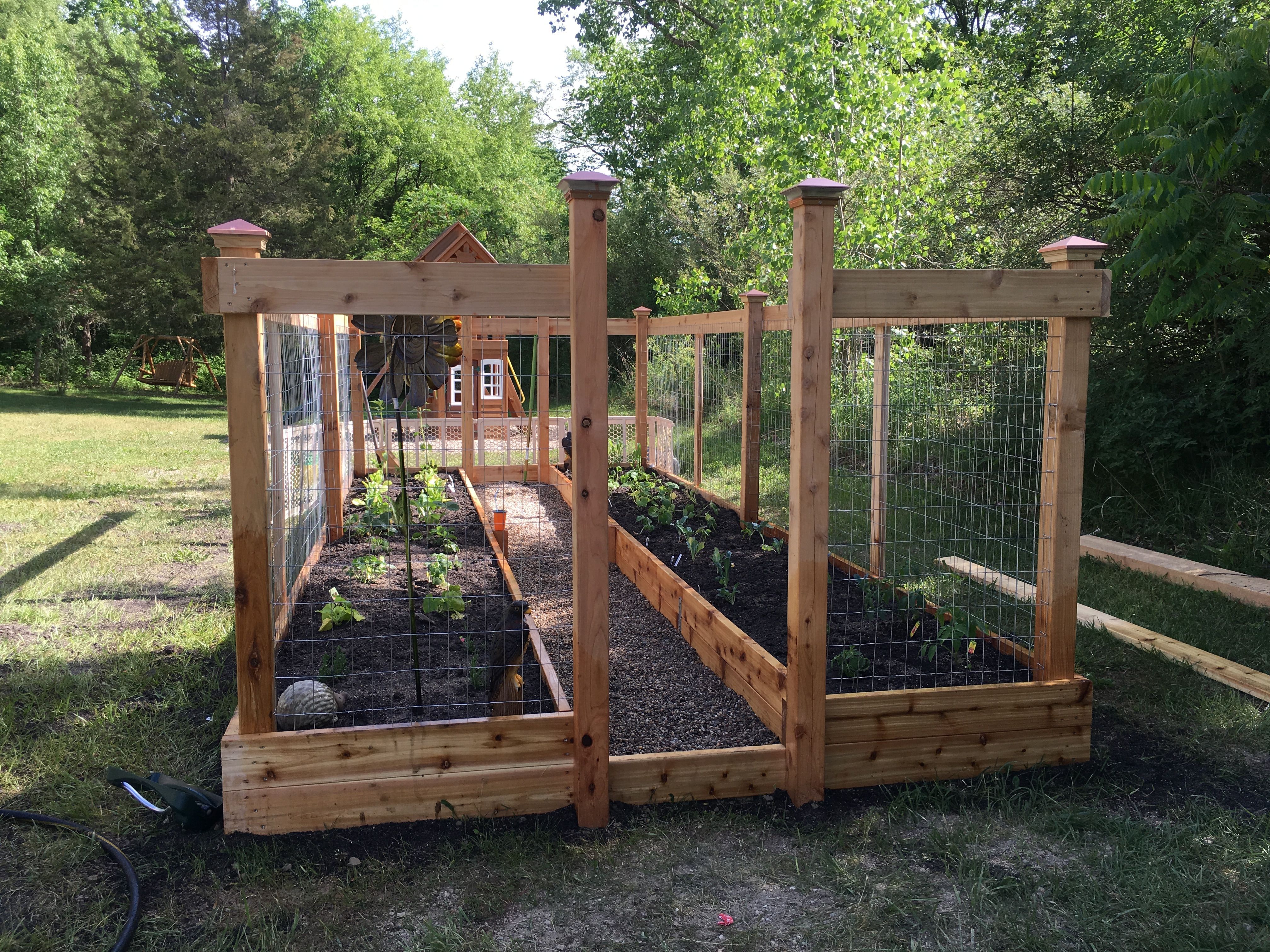 vegetablegardenlayout Raised garden beds diy, Diy raised garden