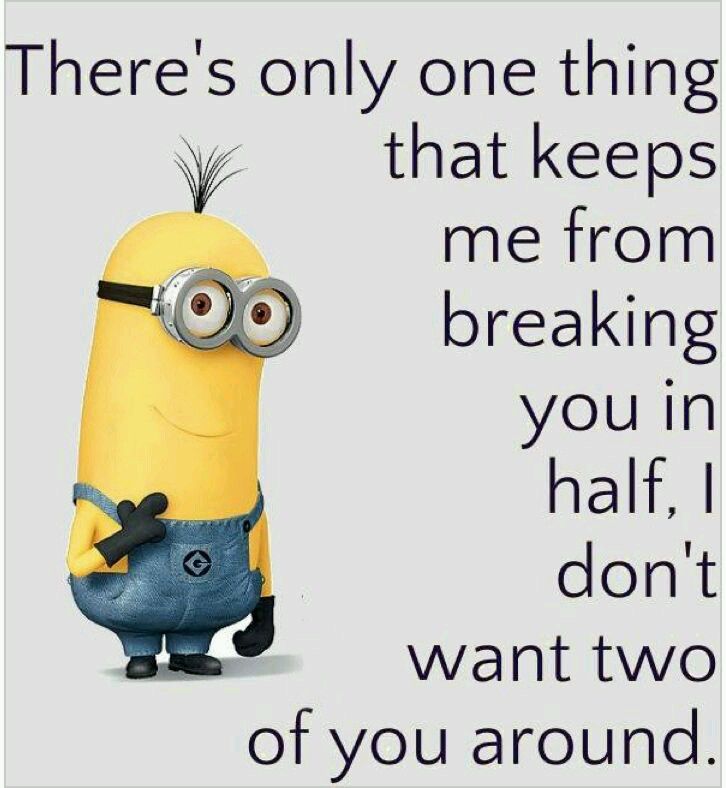 Funny Minion Pictures, Funny Minion Memes, Minions Quotes, Funny Jokes ...