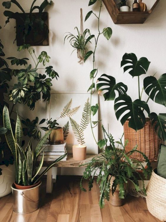 60+ Plant Stand Design Ideas for Indoor Houseplants - Page 16 of ...