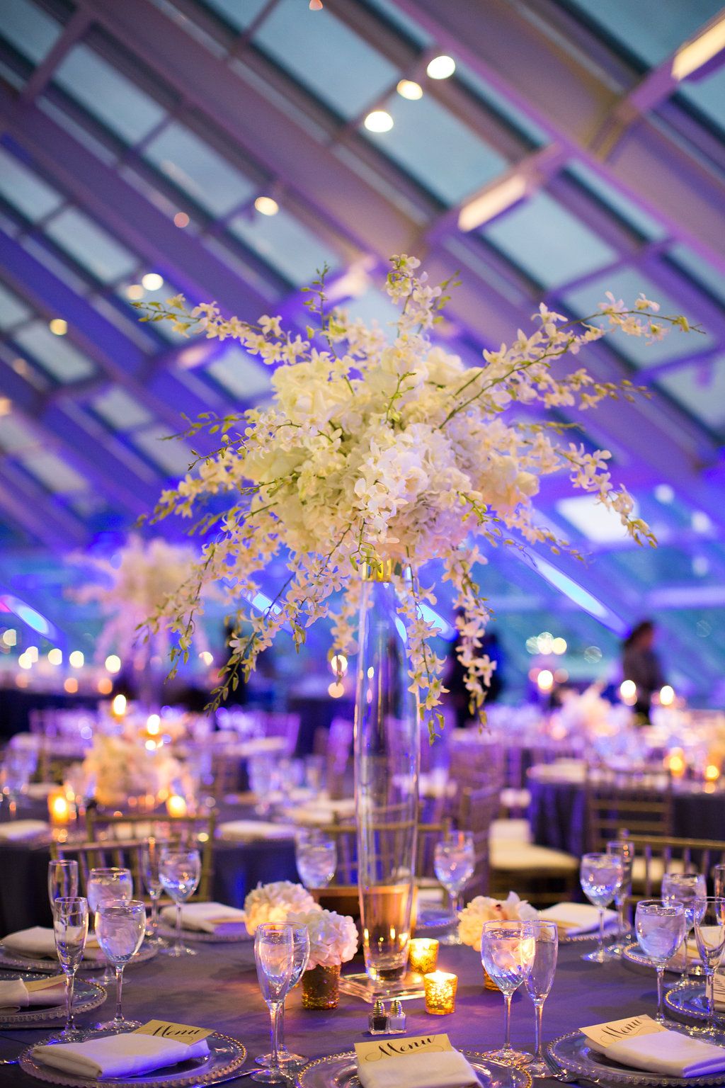 33++ Adler planetarium indian wedding information