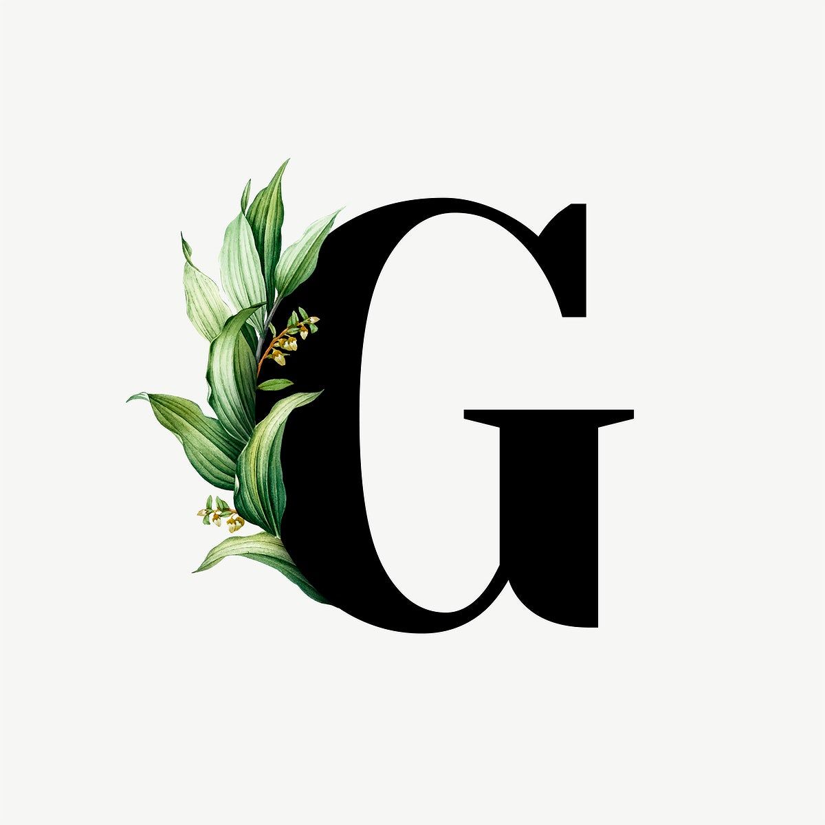 Download premium vector of Botanical capital letter G vector 584911