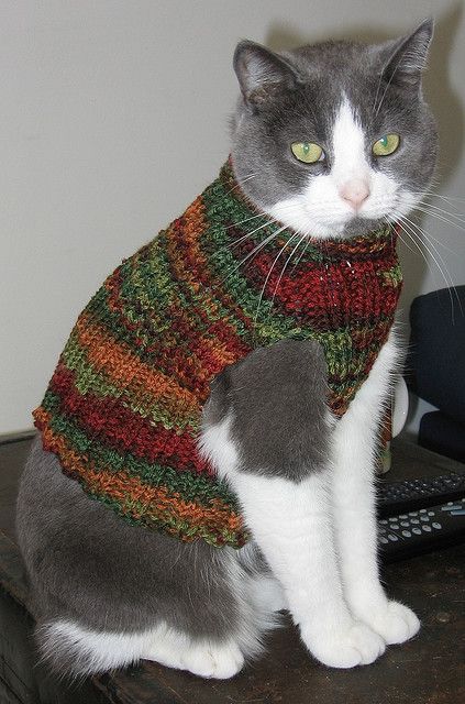 Cat vest Cat Sweater Knitting Pattern, Crochet Dog Sweater, Knitted Cat ...