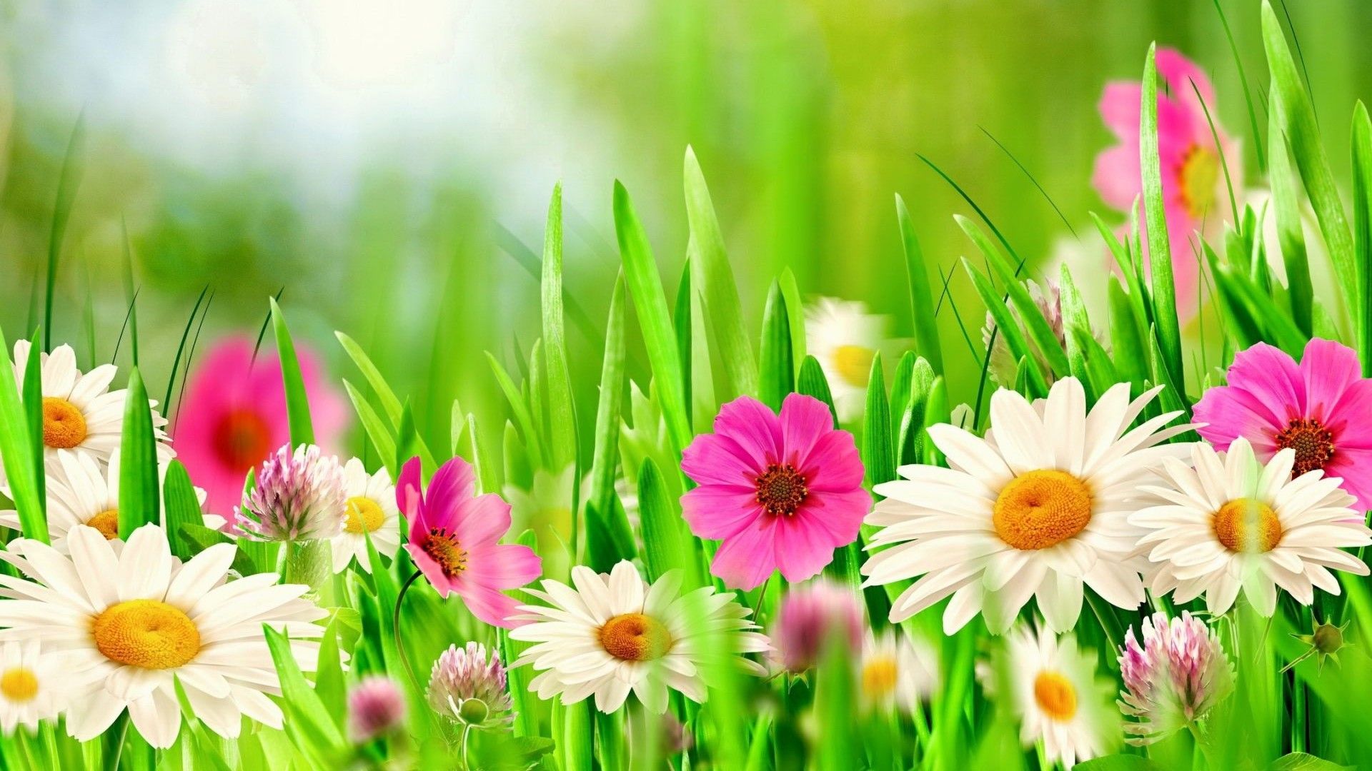 Wallpaper Hd Beautiful Spring 21 Live Wallpaper Hd Spring Cover Photos Facebook Cover Fb Cover Photos