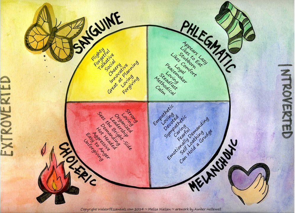 The 4 Temperaments | Waldorf education, Waldorf education homeschooling ...