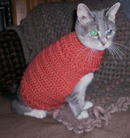 Phoebe's Favorite Crocheted Cat (or Dog) Sweater: free pattern # ...