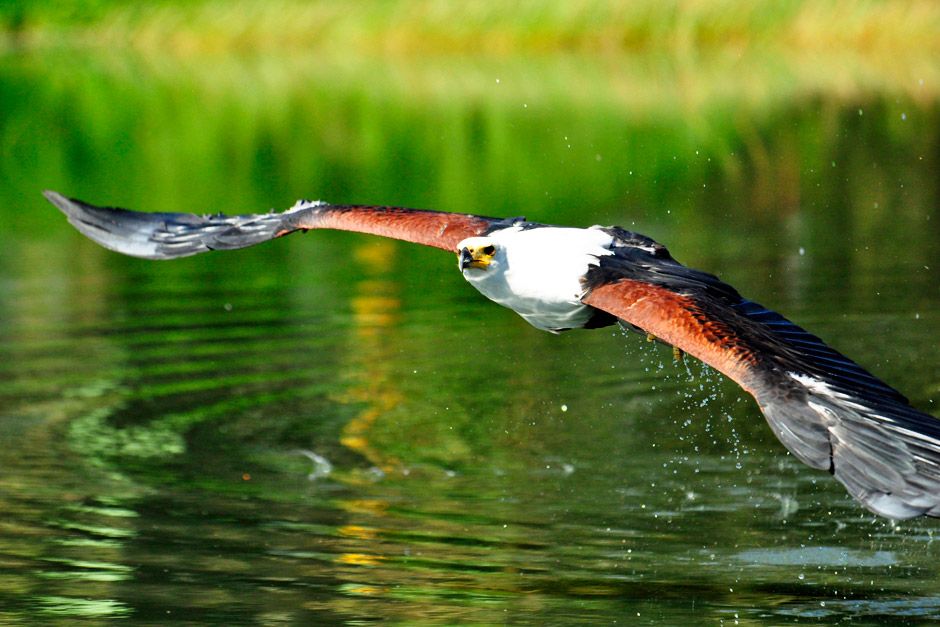 Photo of the day - National Geographic Channel - Canada | National ...