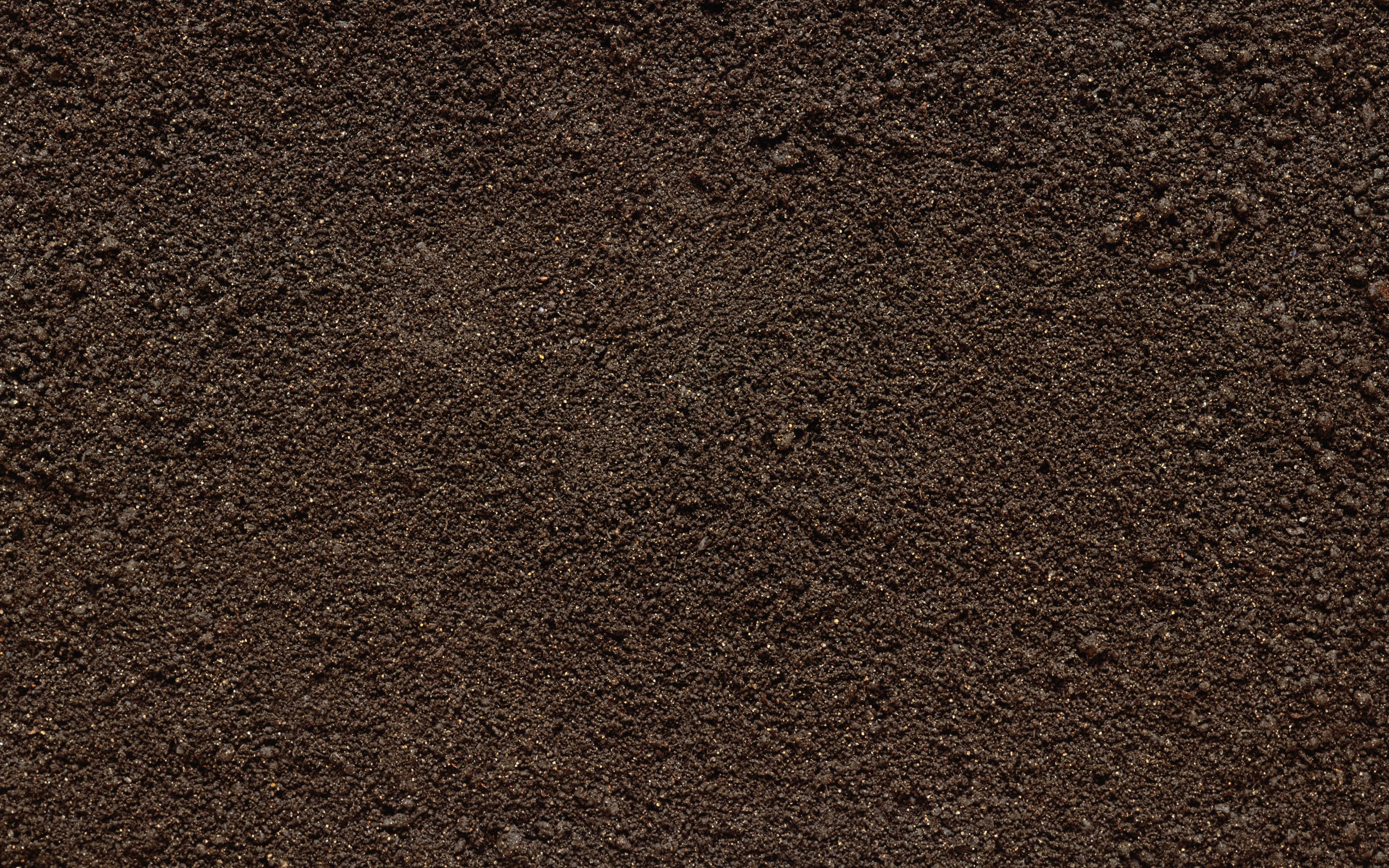 Seamless Soil Texture