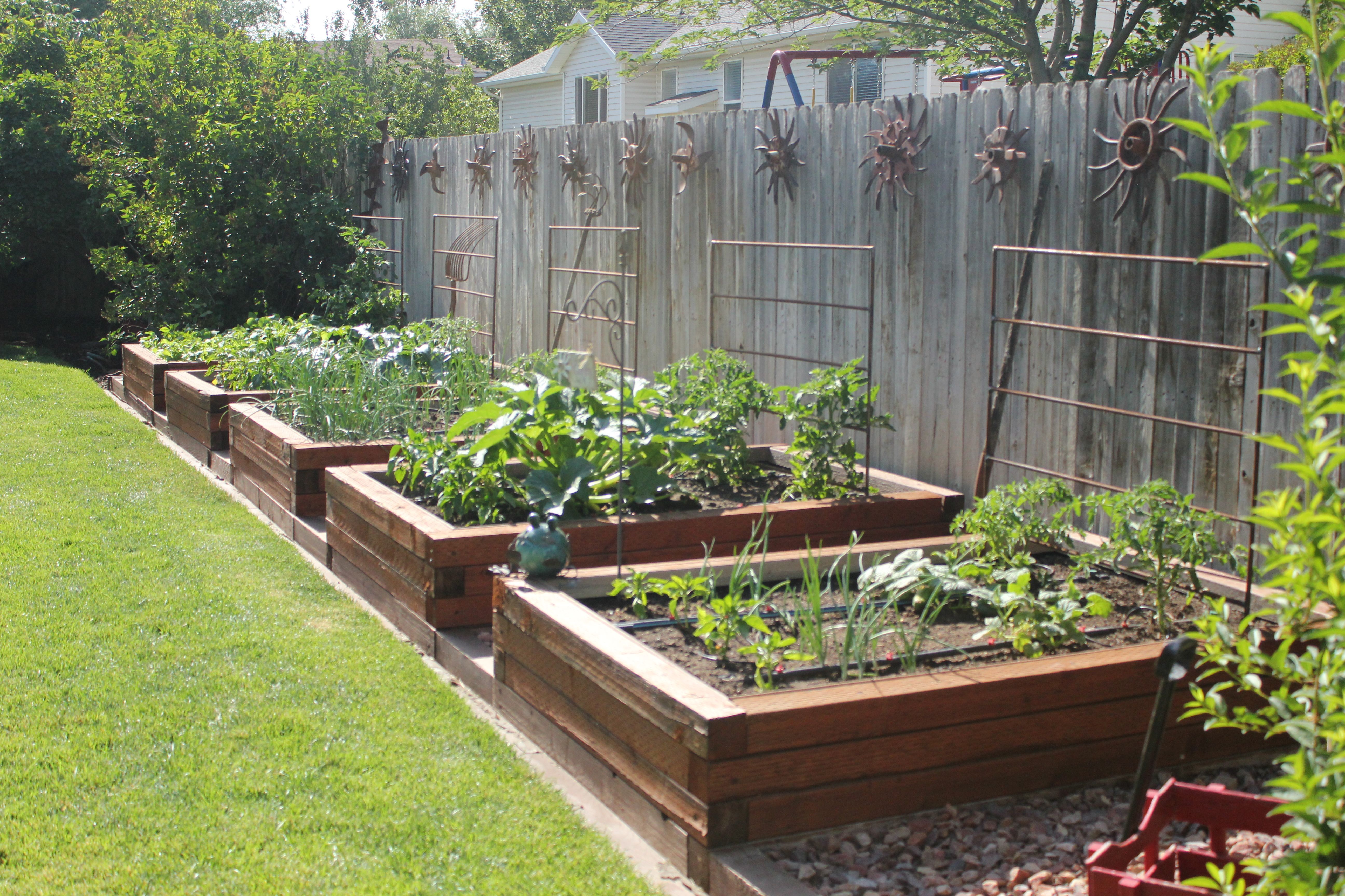 Beautiful Raised Beds for the vegetable garden. (From the Hidden