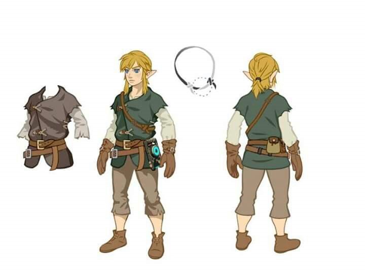 Breath of the Wild Link | Legend of zelda, Breath of the wild, Legend ...