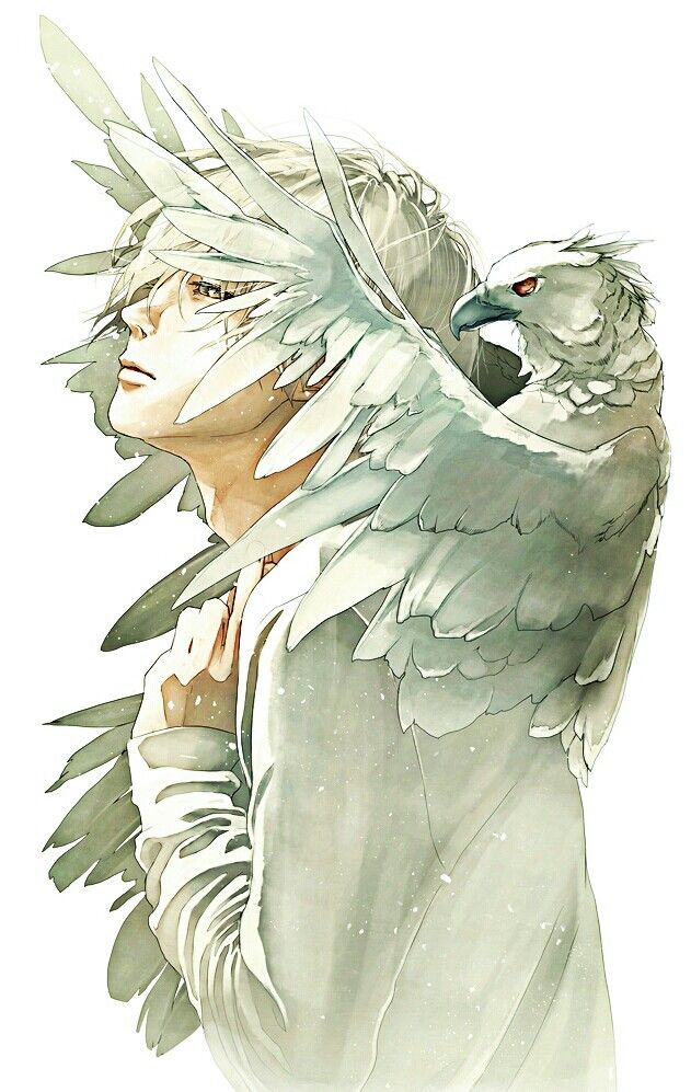 Anime Guy With Bird Wings