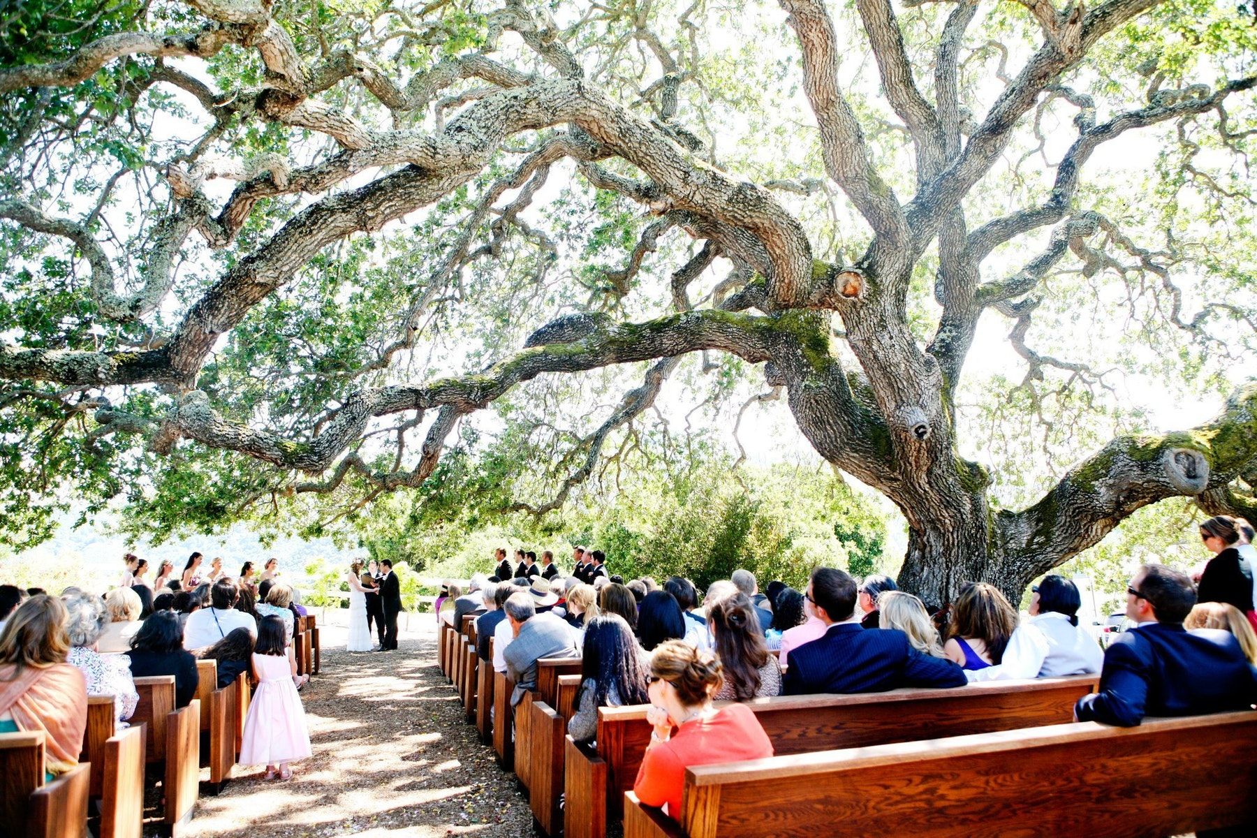 20+ Best wedding venues in central texas ideas in 2021 