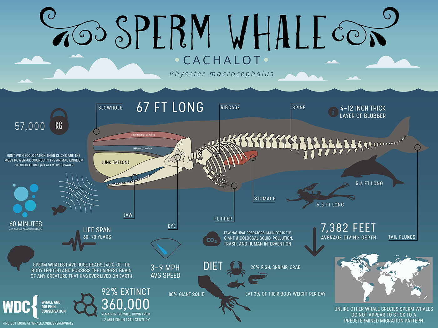 29 interesting infographics that taught us something – Artofit