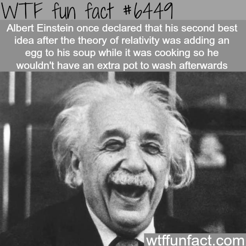 Albert Einstein’s second best idea - WTF fun facts Wtf Fun Facts, True ...