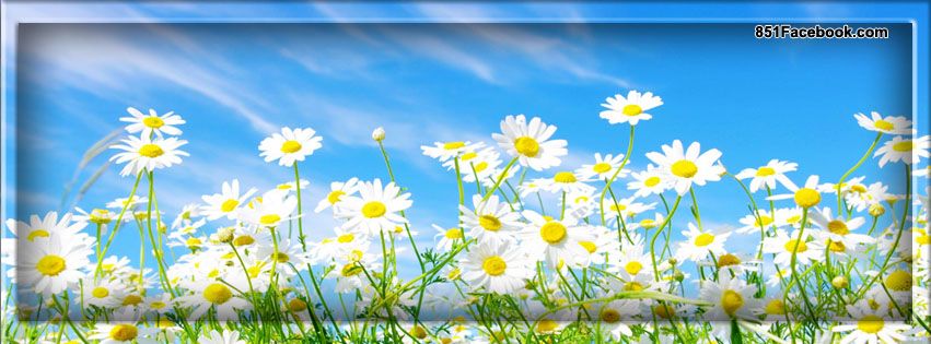 Cute Spring Facebook Covers Cute Spring Facebook Cover Spring Cover Photos Facebook Cover Images Facebook Cover Photos Flowers