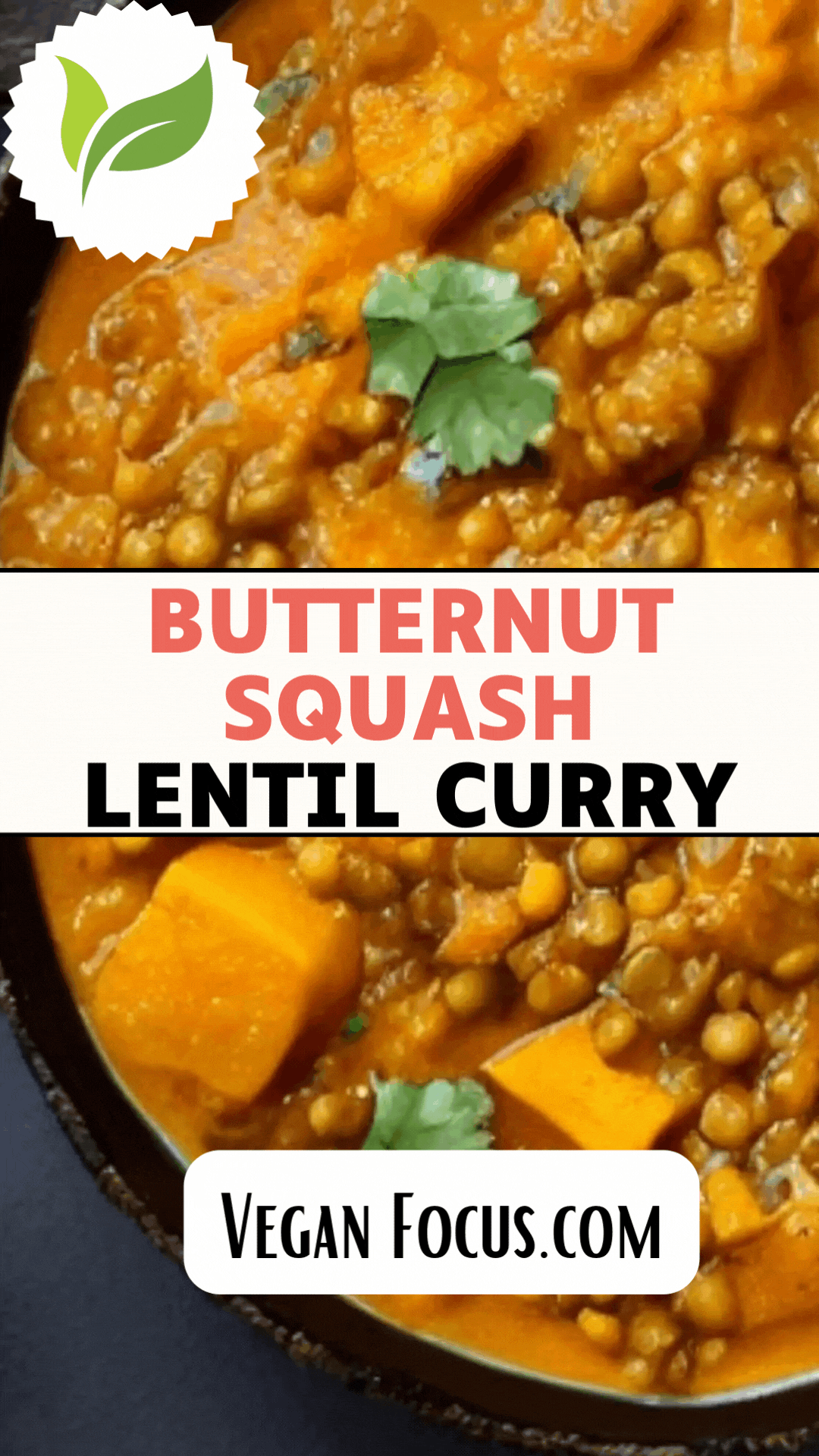 butternut squash lentil curry in a bowl with the words, butternut squash lentil curry vegan focus com