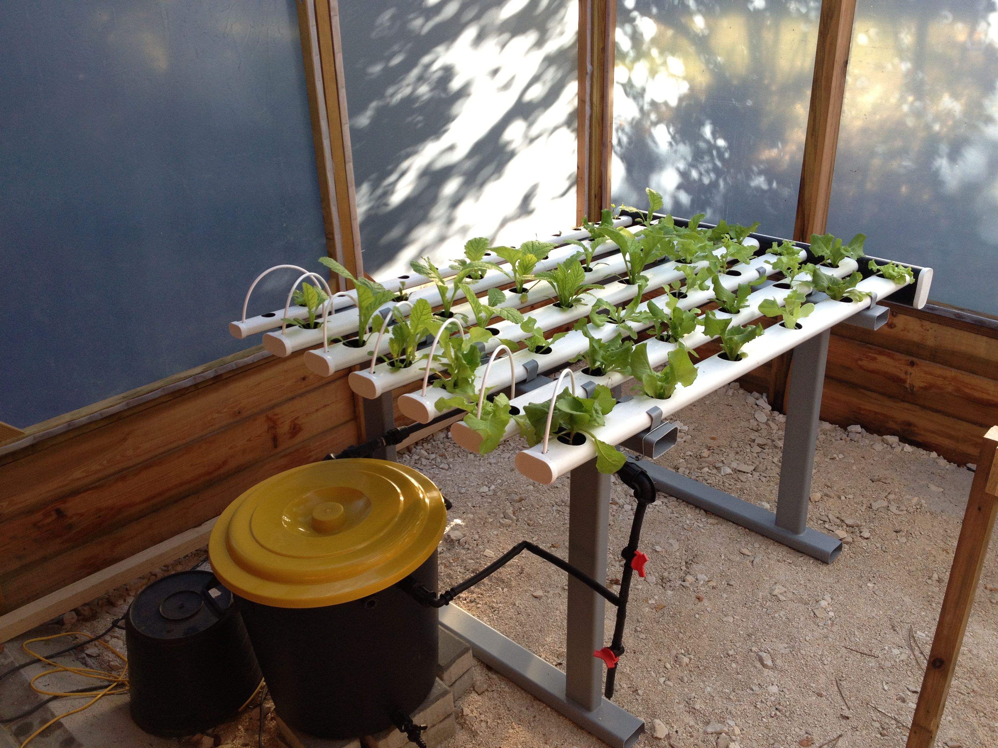 Diy Hydroponic Systems: A Beginner's Guide