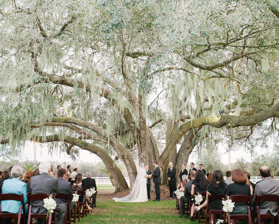 45++ Barn wedding venues in south florida information