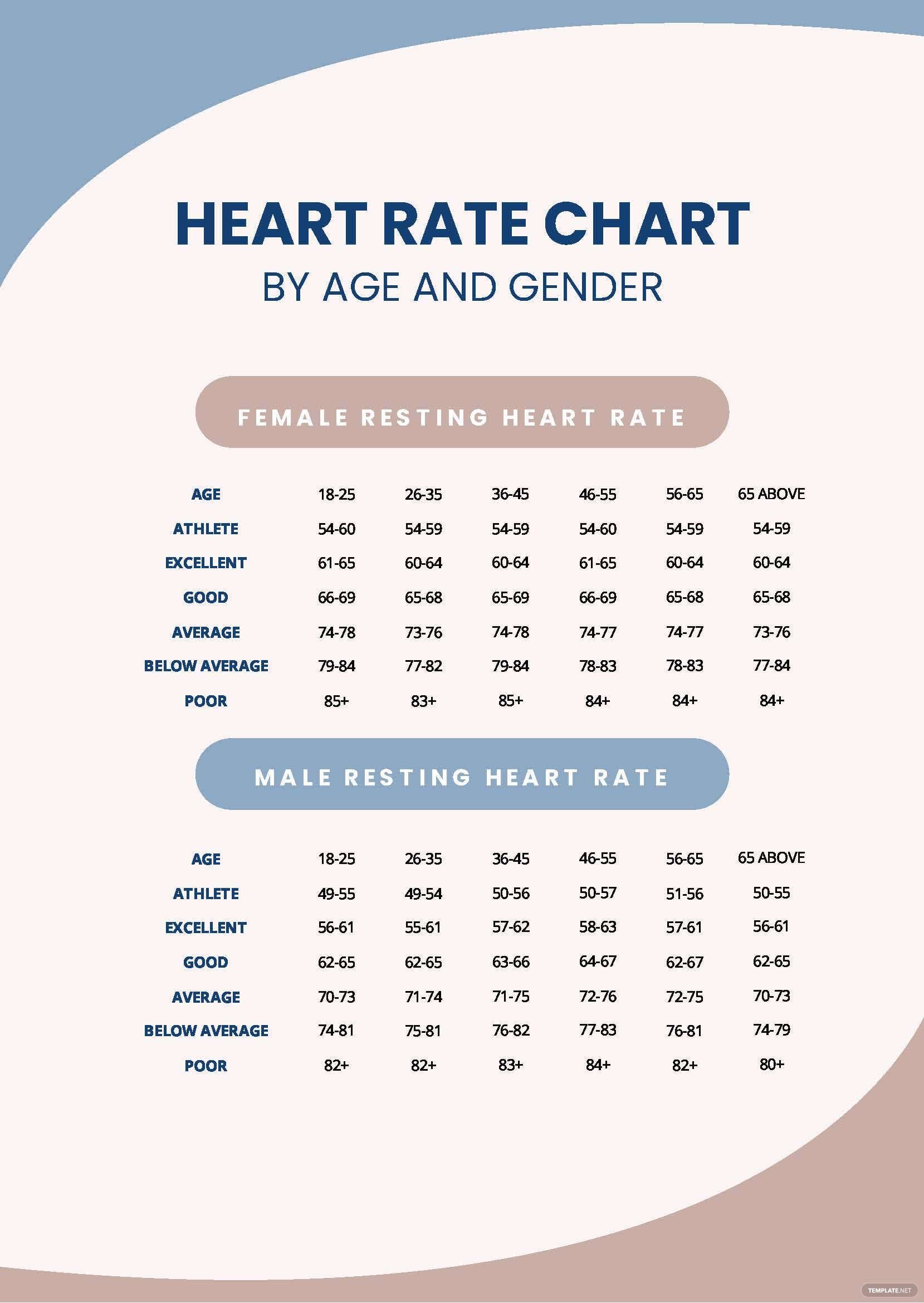 Heart Rate Chart By Age And Gender in PDF - Download | Template.net in ...