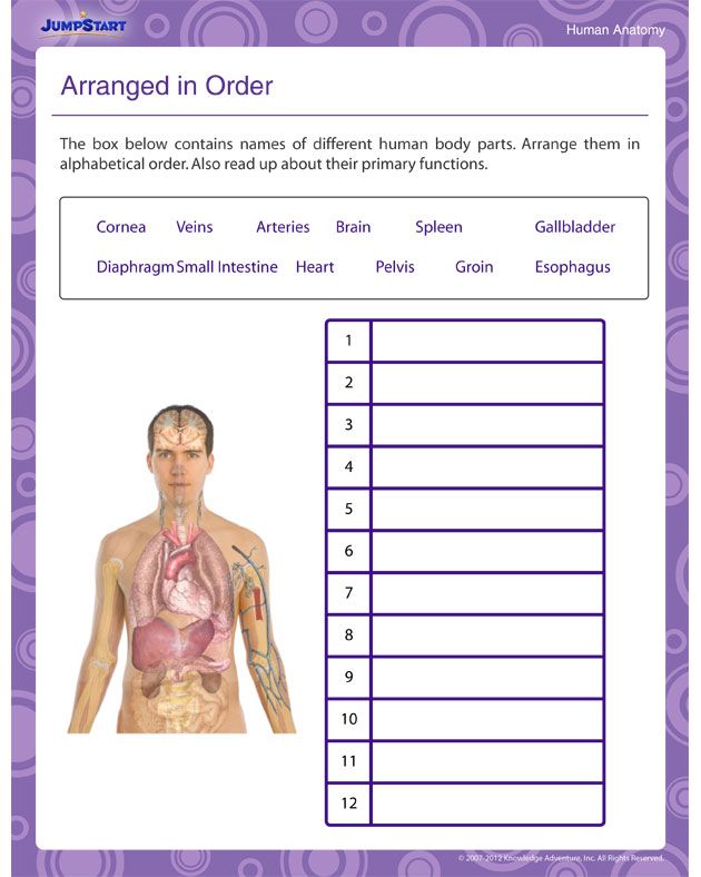 Printable Science Grade 2 Worksheet Kind Worksheets