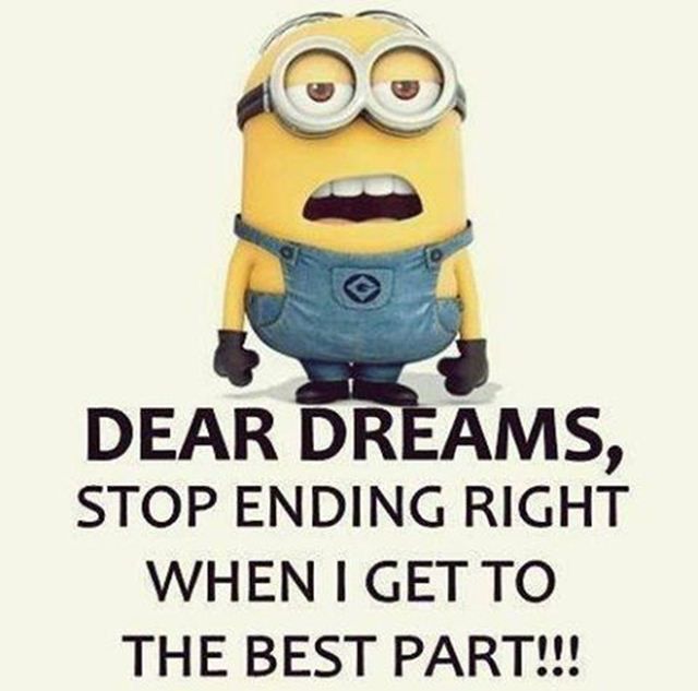 Funny Quotes I’ve Ever Seen Dear Dreams Stop Blow Your Mind | Minions ...