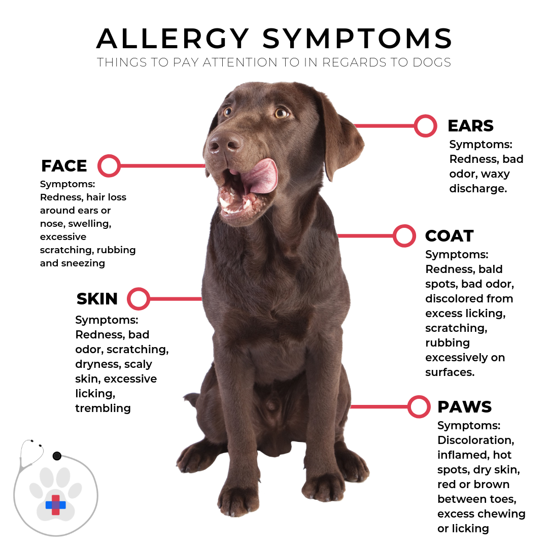 The Ohio Valley is known for being a hot bed of allergens, making it ...